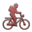 Bicycle Messengers icon