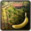 香蕉种植园 icon