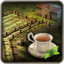 Tea Plantations icon