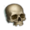 Event skull.png