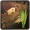 Building rice farm.png