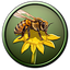 授粉昆虫激增 icon